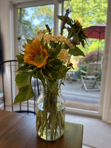 Natural sunflower arrangement in a jar beside a garden window