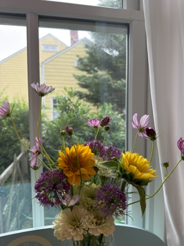 Purple alliums, cosmos, sunflowers, and zinnias arranged by a window